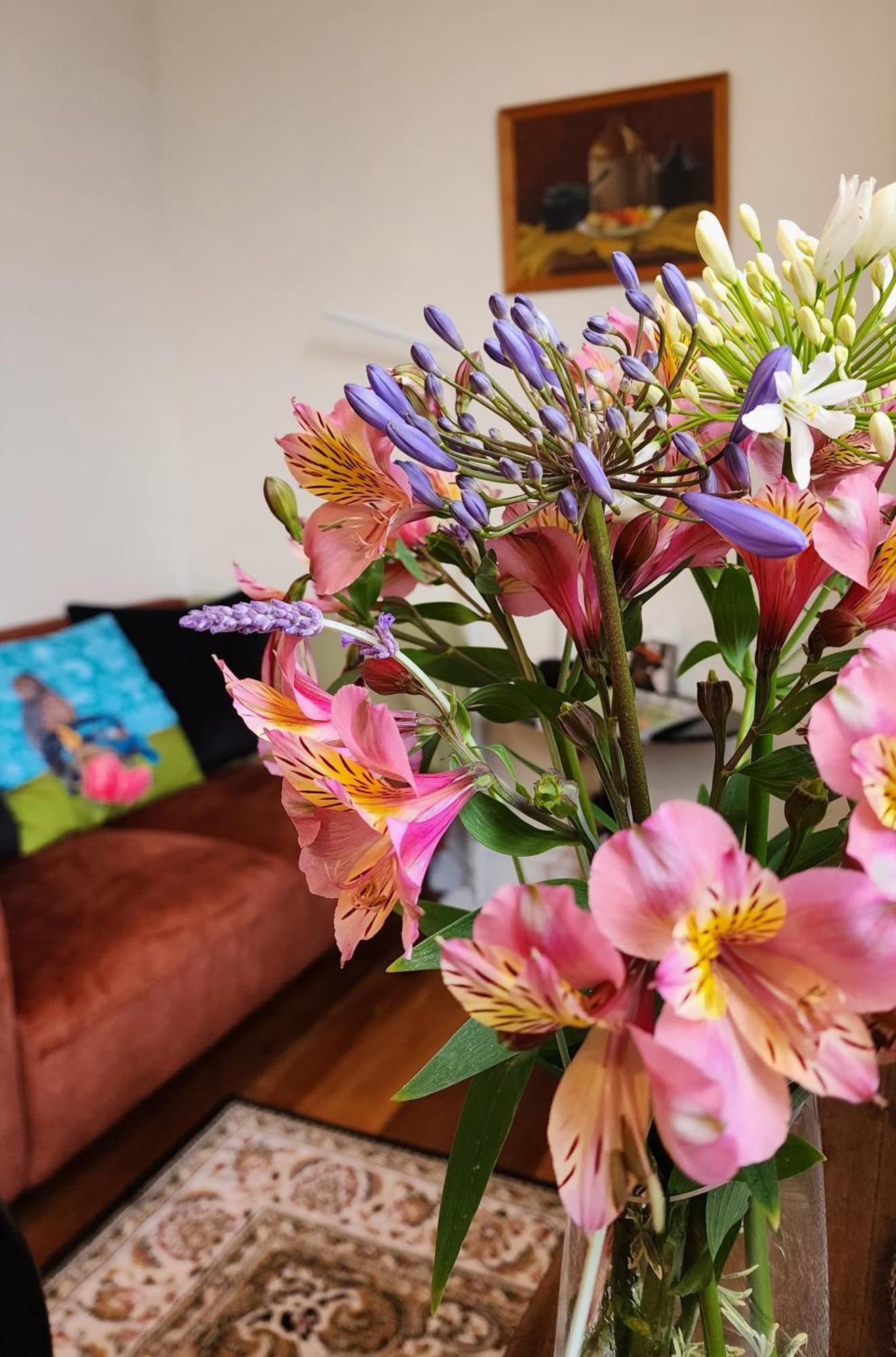 Central Garden Villa Whanganui Kültér fotó